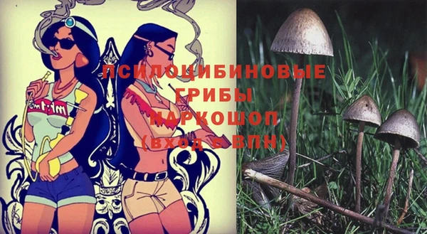 тгк Алзамай