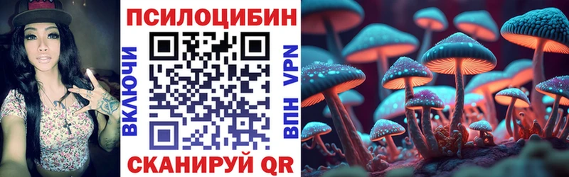 купить наркотики цена  Южно-Сахалинск  Псилоцибиновые грибы Psilocybine cubensis 
