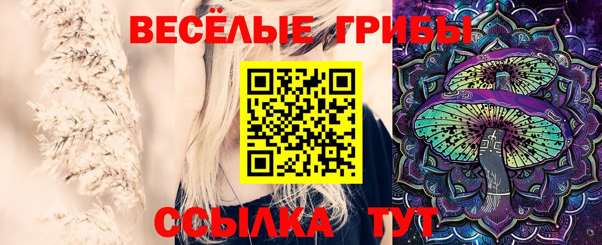 Псилоцибиновые грибы Cubensis  Галлюциногенные грибы Psilocybine cubensis  Южно-Сахалинск  Вход с VPN 